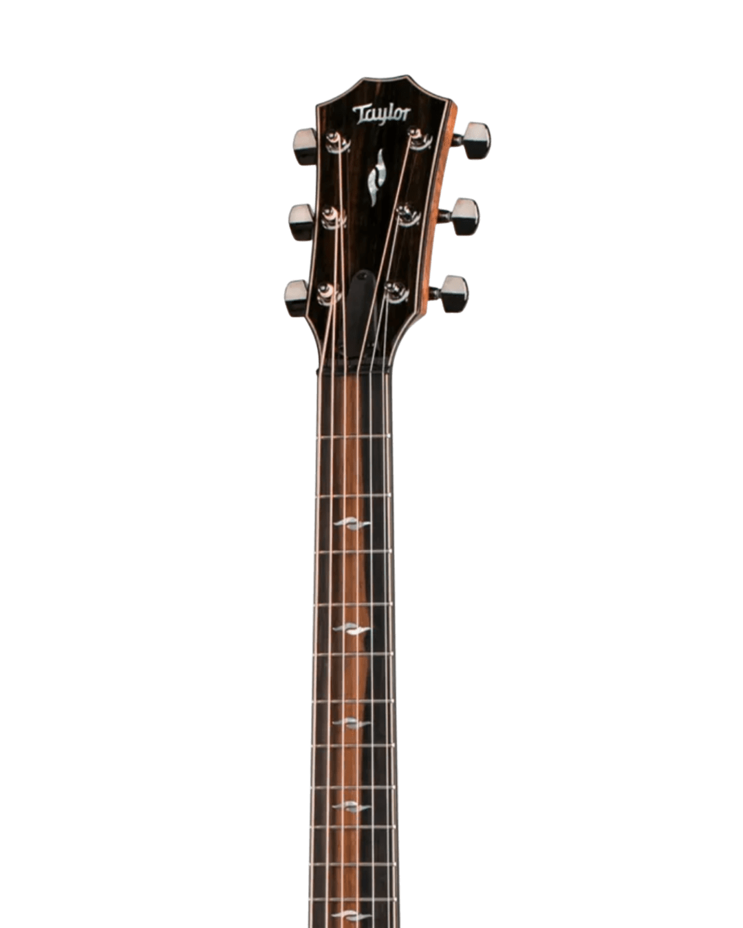 Taylor Grand Auditorium 812CE Cutway - Guitarra Electroacústica
