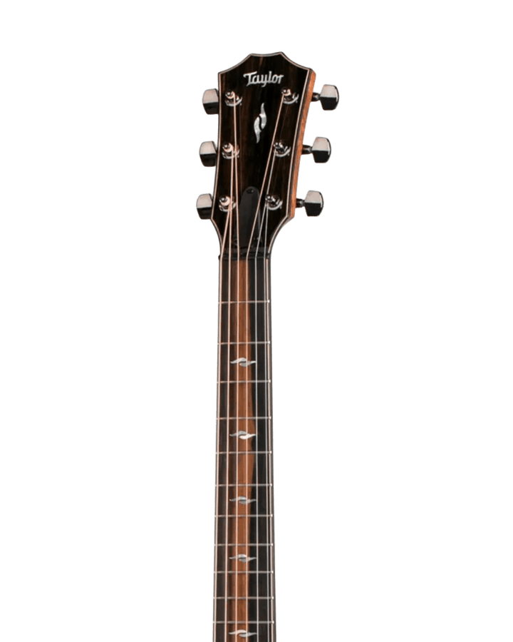 Taylor Grand Auditorium 812CE Cutway - Guitarra Electroacústica