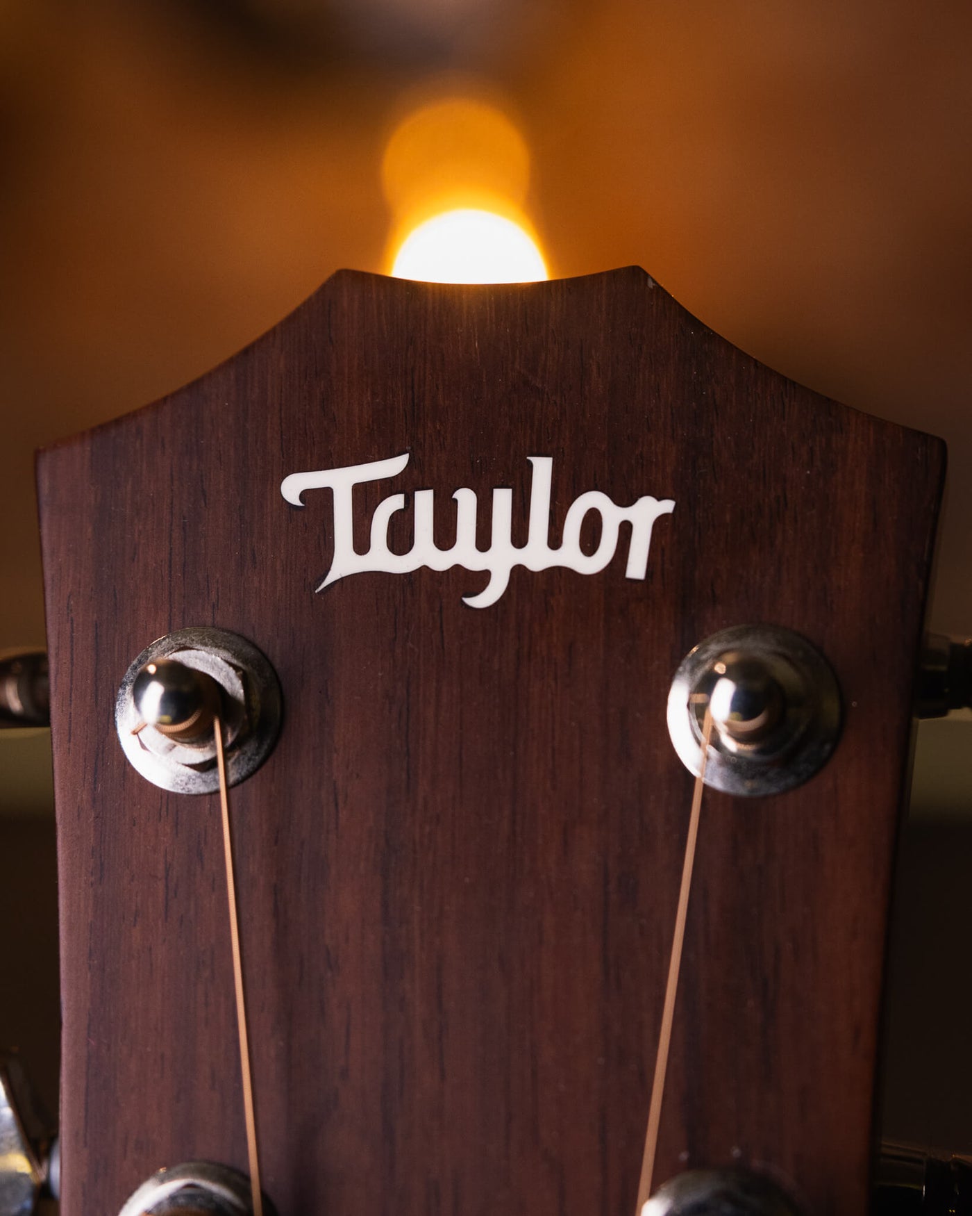 Taylor 414ce-R Special Edition Natural 2016 - Guitarra Electroacústica