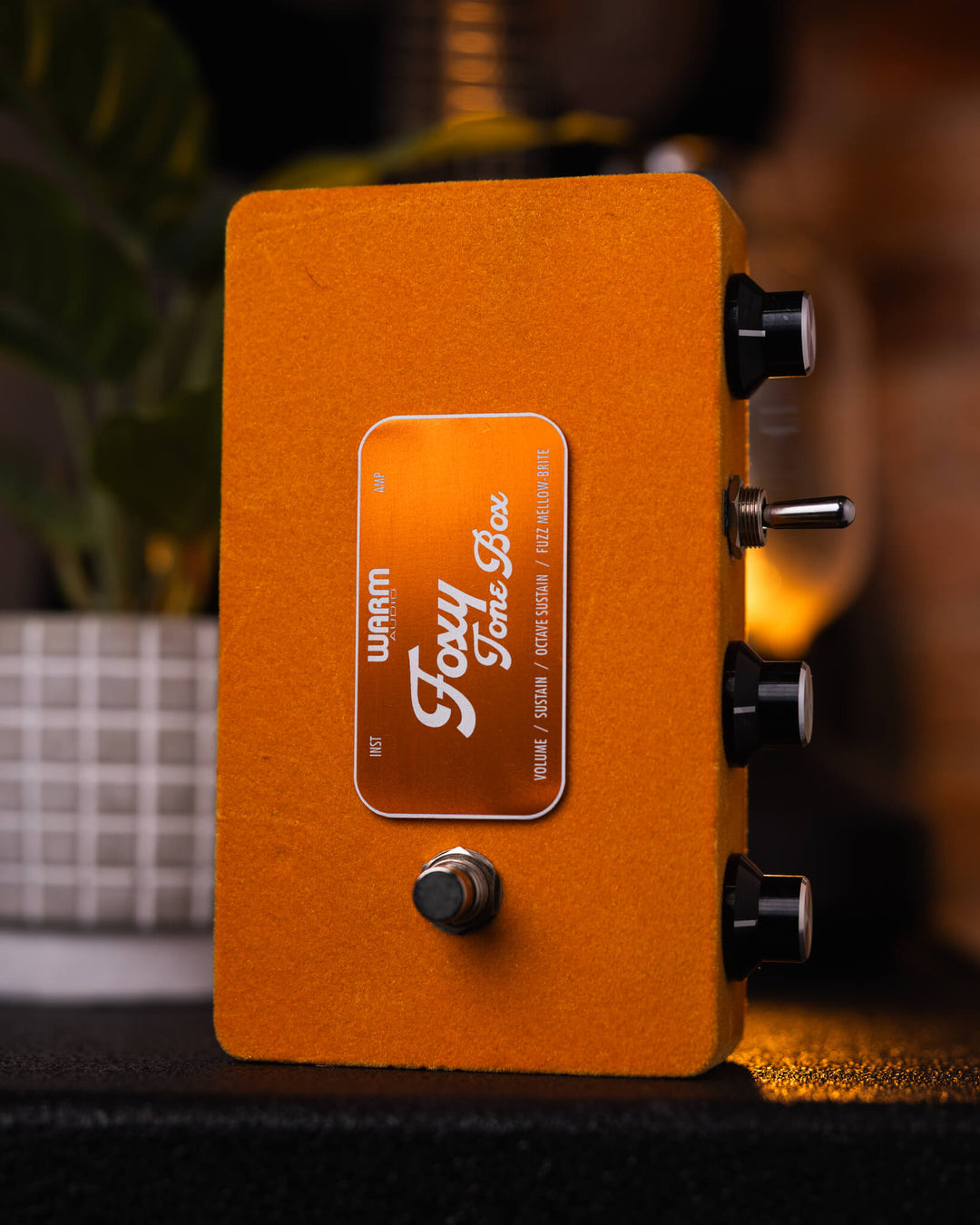 Warm Audio Foxy Tone Box WA-FTB - Pedal de Fuzz de Guitarra