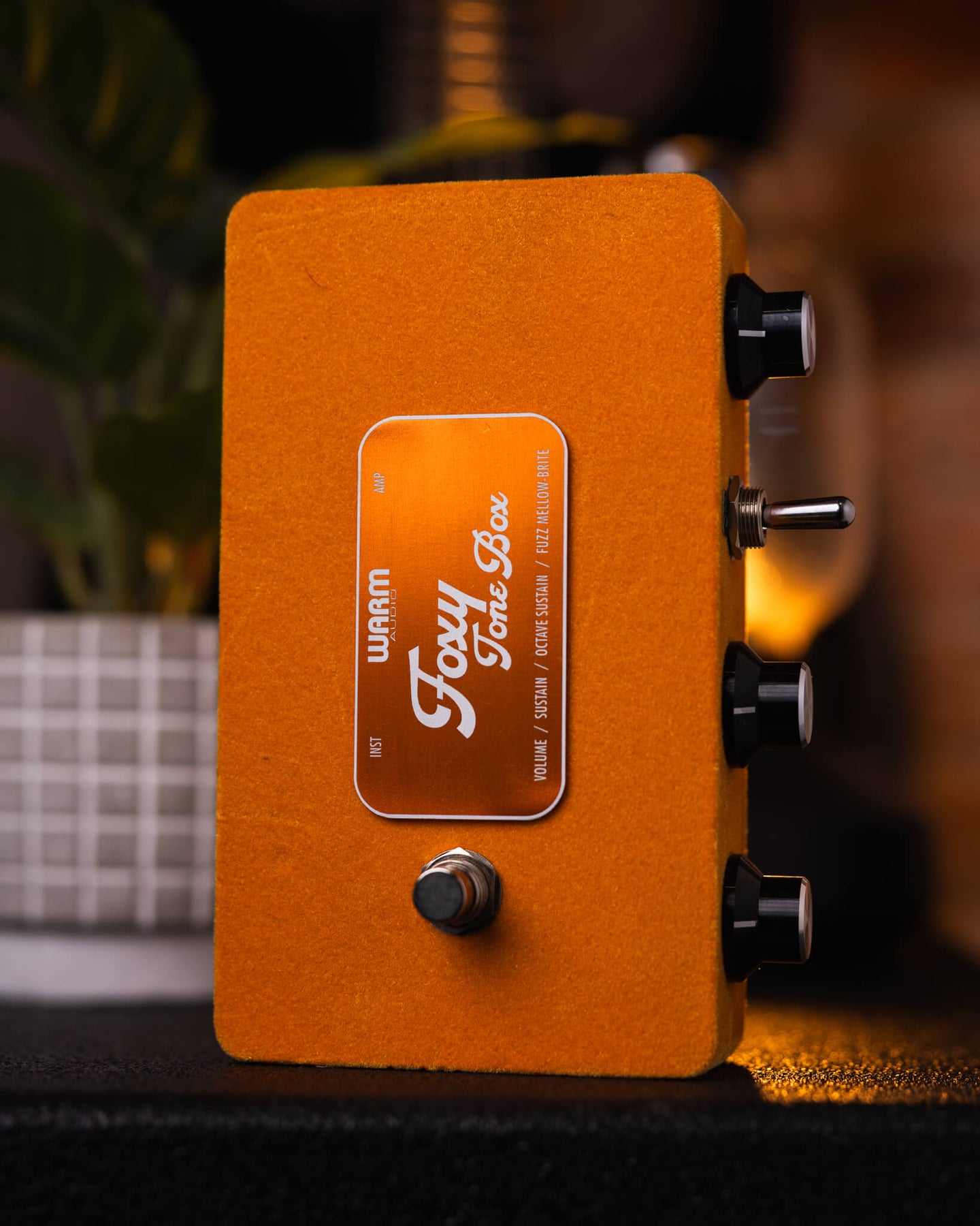 WARM AUDIO Foxy Tone Box ギターエフェクター Gearhub_Warm_Audio_Foxy_Tone_B
