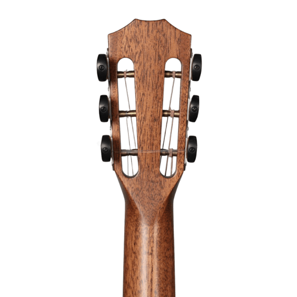 Taylor Grand Auditorium 812CE Cutway - Guitarra Electroacústica