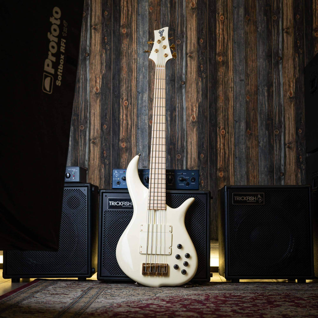 F Bass BN5 Olympic White 2018 - Bajo Eléctrico | The BN series is the product of 40+ years of F Bass evolution. While it has roots stemming from the original Jazz Bass, it has slowly morphed into our signature sound, feel, and look. The BN series’ voice l