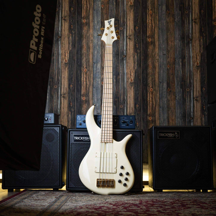 F Bass BN5 Olympic White 2018 - Bajo Eléctrico | The BN series is the product of 40+ years of F Bass evolution. While it has roots stemming from the original Jazz Bass, it has slowly morphed into our signature sound, feel, and look. The BN series’ voice l