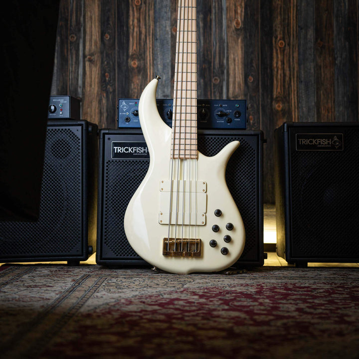 F Bass BN5 Olympic White 2018 - Bajo Eléctrico | The BN series is the product of 40+ years of F Bass evolution. While it has roots stemming from the original Jazz Bass, it has slowly morphed into our signature sound, feel, and look. The BN series’ voice l