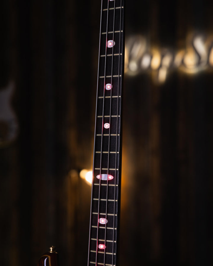 Alembic Serie II Cocobolo 1993