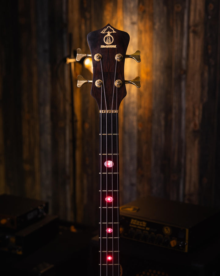Alembic Serie II Cocobolo 1993