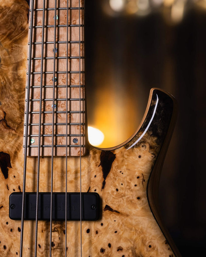 DTC Artist SCTA5 Buckeye Burl 2021