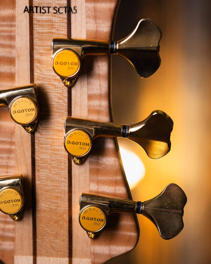 DTC Artist SCTA5 Buckeye Burl 2021