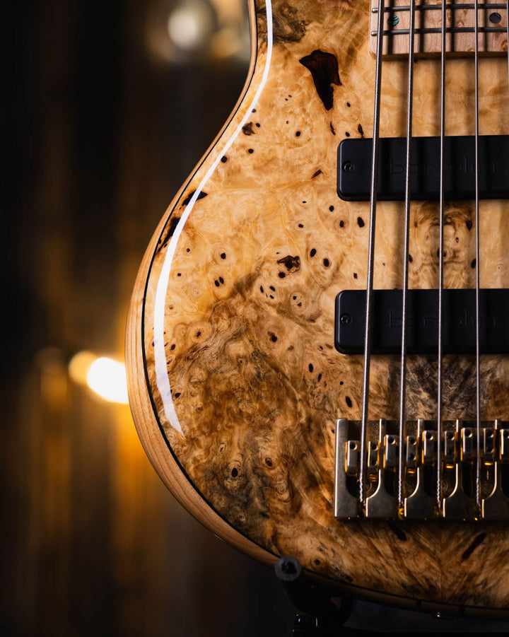 DTC Artist SCTA5 Buckeye Burl 2021