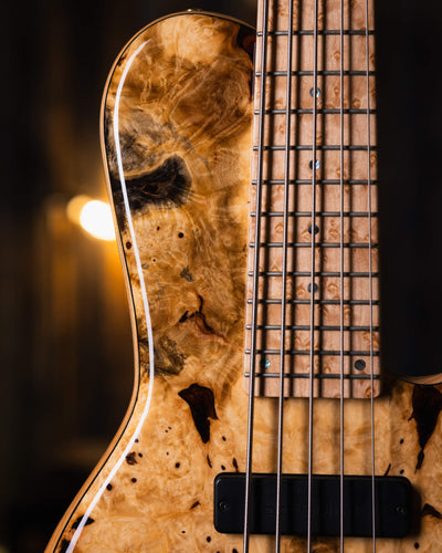 DTC Artist SCTA5 Buckeye Burl 2021 - Bajo Eléctrico