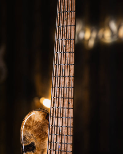 DTC Artist SCTA5 Buckeye Burl 2021 - Bajo Eléctrico