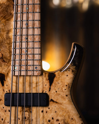 DTC Artist SCTA5 Buckeye Burl 2021 - Bajo Eléctrico