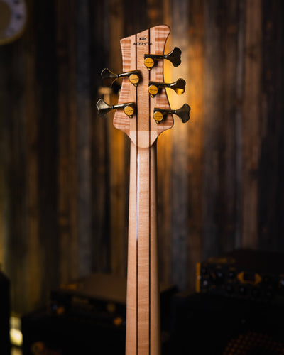 DTC Artist SCTA5 Buckeye Burl 2021 - Bajo Eléctrico