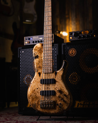DTC Artist SCTA5 Buckeye Burl 2021 - Bajo Eléctrico