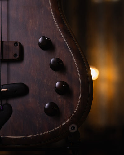 F Bass AC4 Figured Walnut 2021 - Bajo Eléctrico