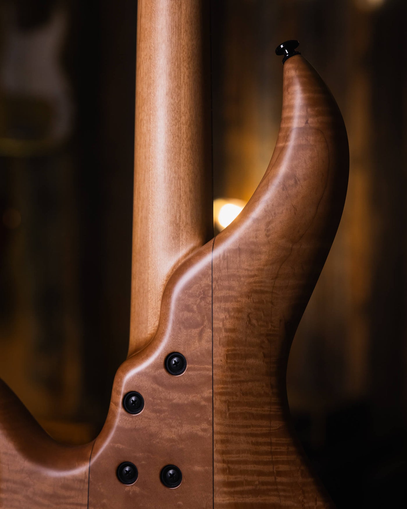 F Bass AC4 Figured Walnut 2021 - Bajo Eléctrico