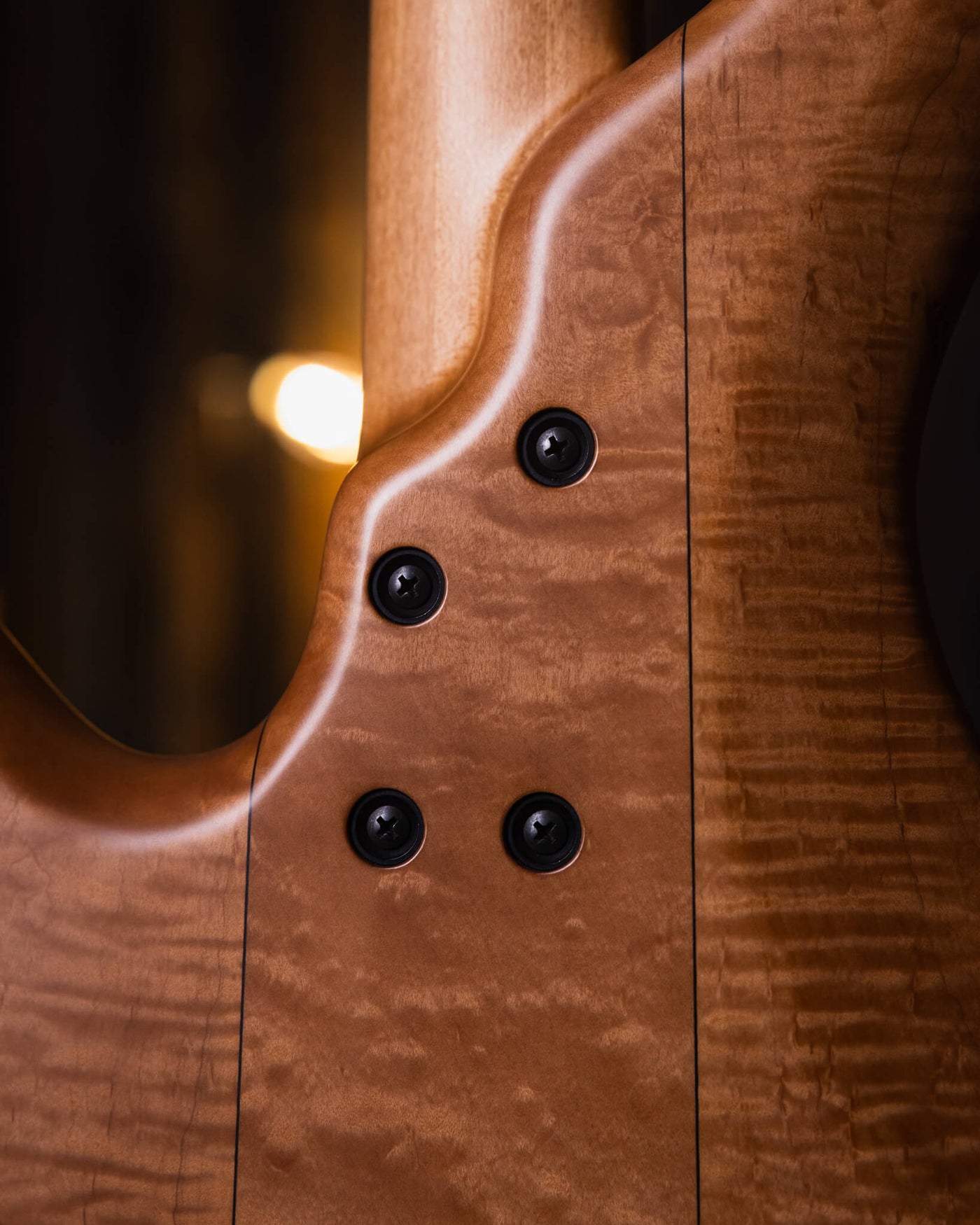 F Bass AC4 Figured Walnut 2021 - Bajo Eléctrico