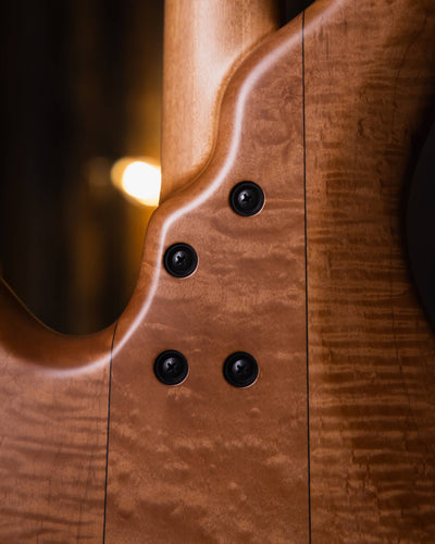 F Bass AC4 Figured Walnut 2021 - Bajo Eléctrico