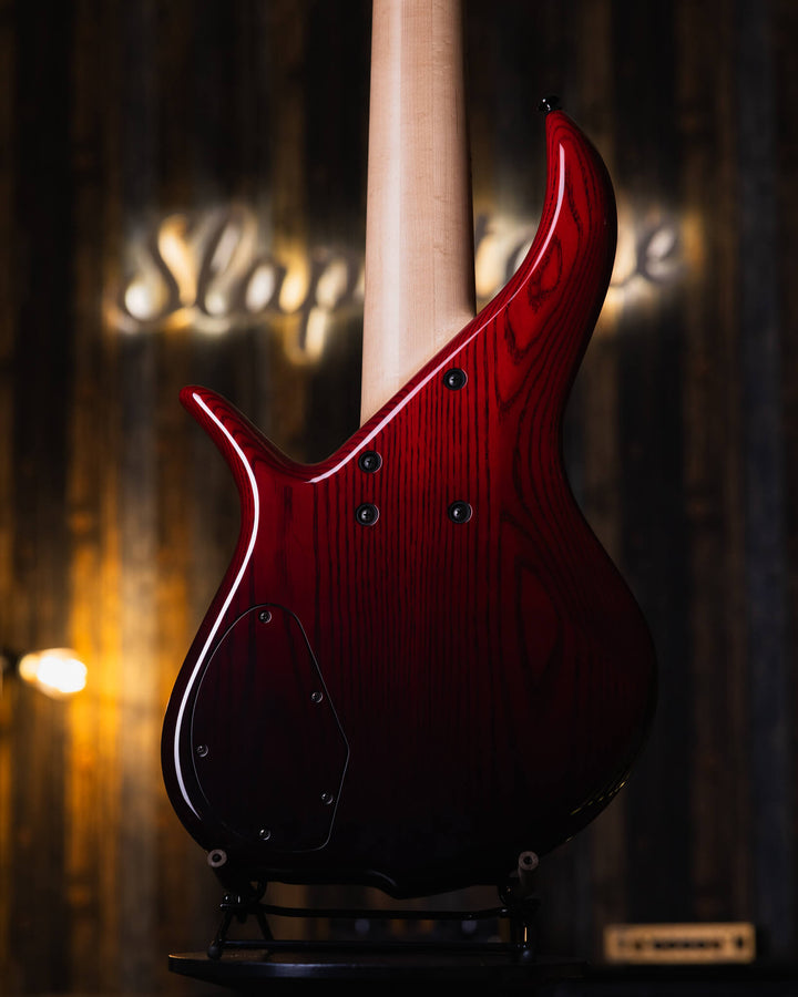 F Bass BN6 Trans Red Fade 2023 - Bajo Eléctrico | The BN series is the product of 40+ years of F Bass evolution. While it has roots stemming from the original Jazz Bass, it has slowly morphed into our signature sound, feel, and look. The BN series’ voice