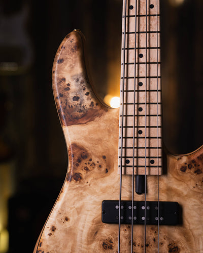 Fodera Emperor 4 Standard Special Poplar Burl End-2024 - Bajo Eléctrico