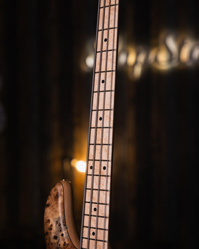 Fodera Emperor 4 Standard Special Poplar Burl End-2024 - Bajo Eléctrico