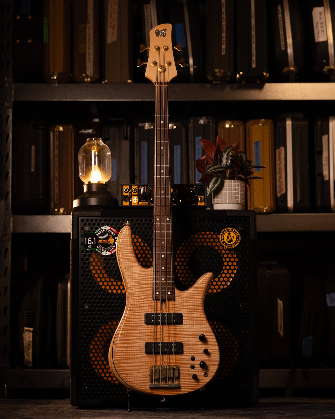 Fodera Monarch 4 Standard Flamed Maple