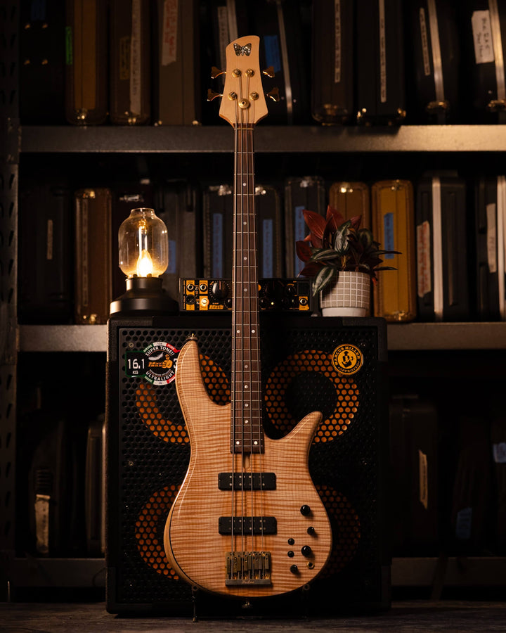 Fodera Monarch 4 Standard Flamed Maple