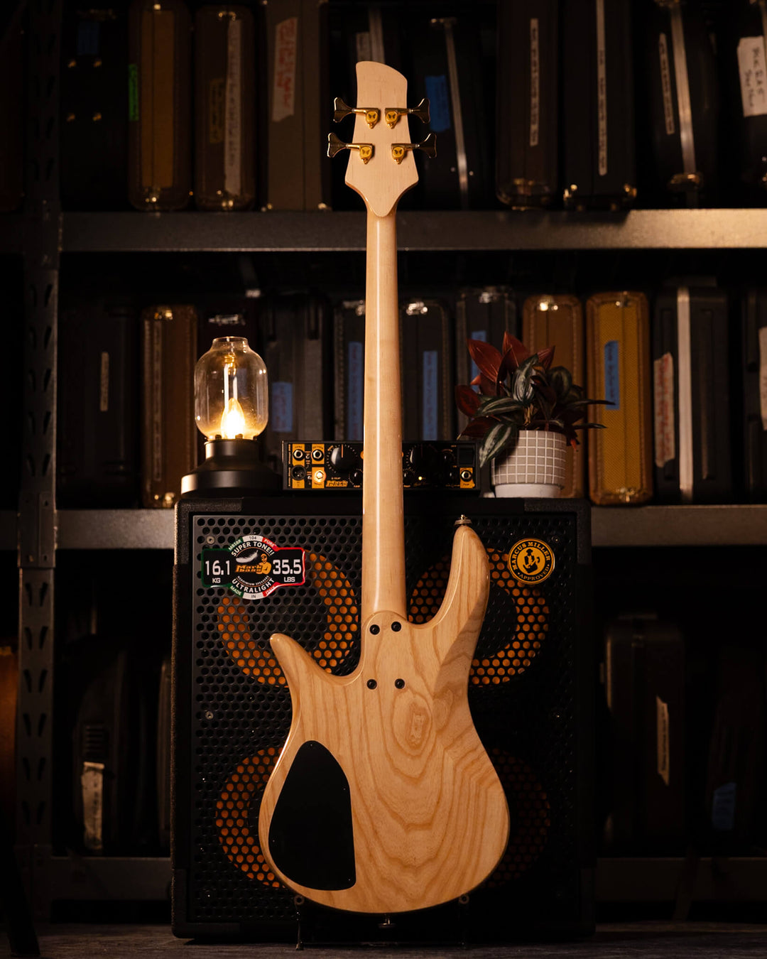 Fodera Monarch 4 Standard Flamed Maple