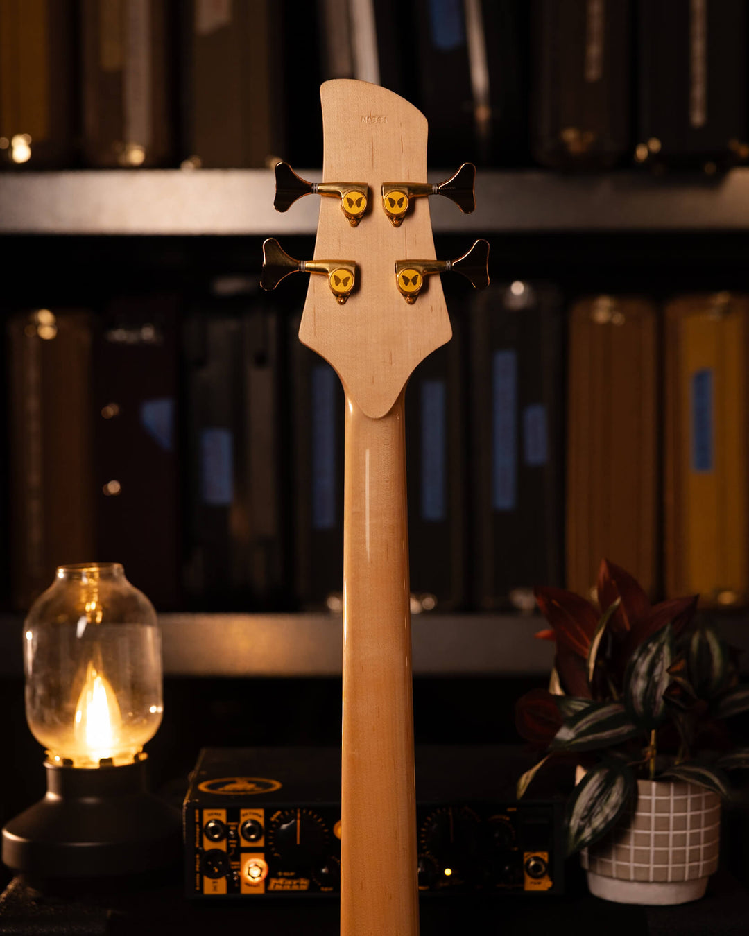 Fodera Monarch 4 Standard Flamed Maple