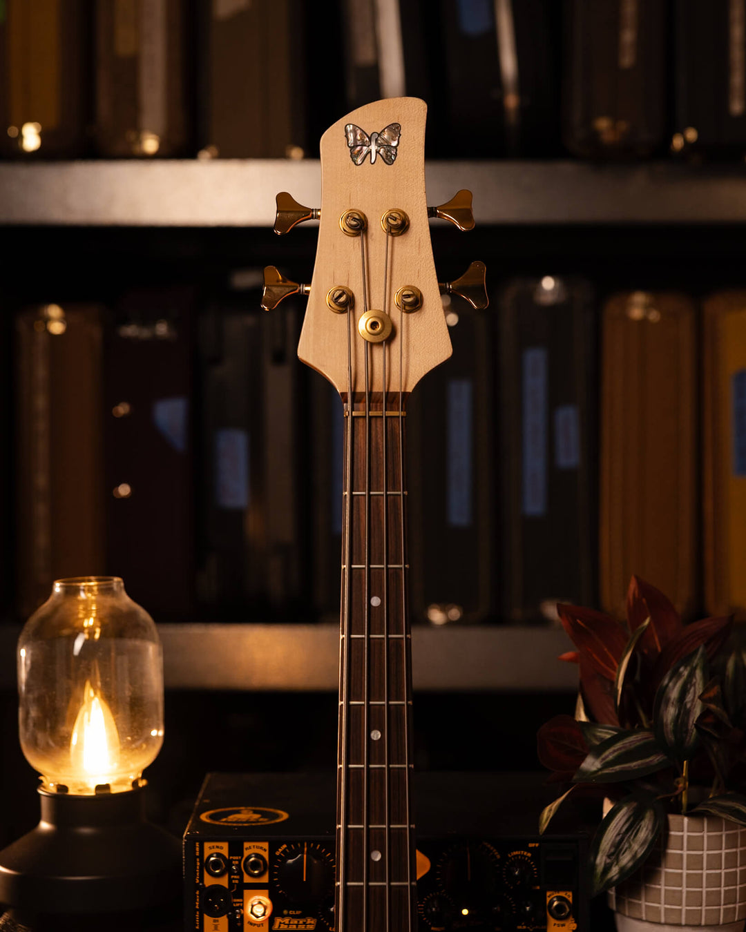 Fodera Monarch 4 Standard Flamed Maple