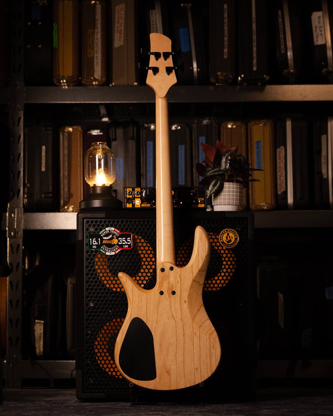 Fodera Monarch 4 Standard Flamed Maple