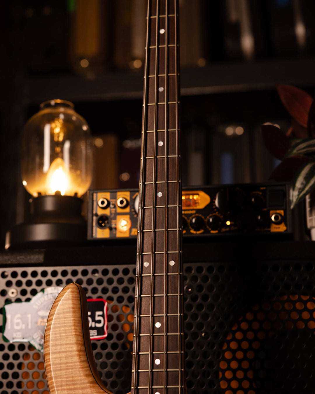 Fodera Monarch 4 Standard Flamed Maple