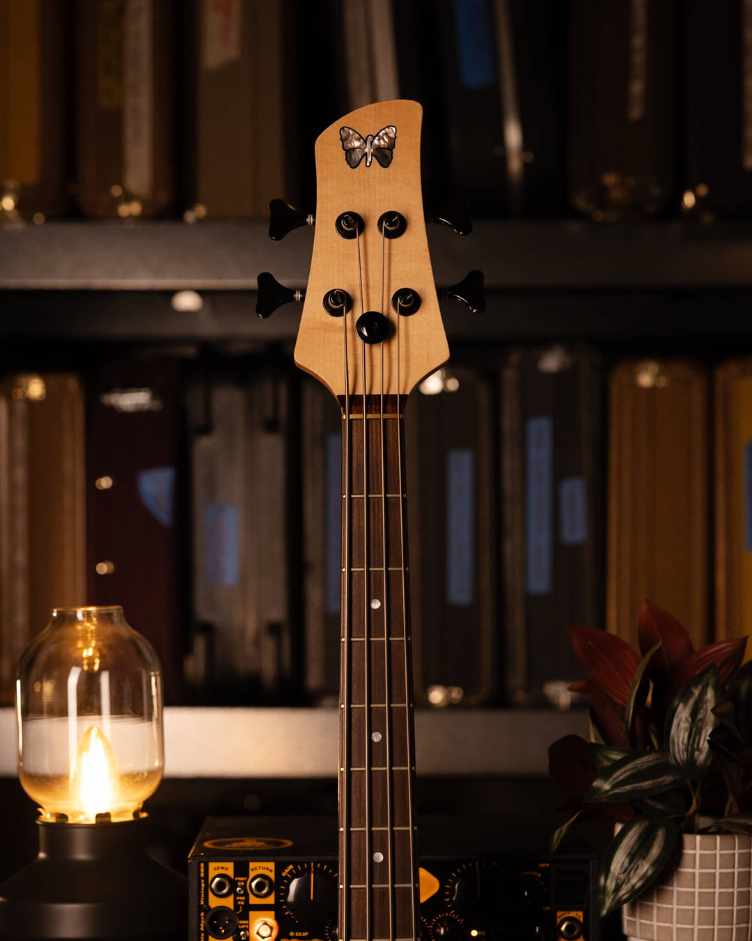 Fodera Monarch 4 Standard Flamed Maple