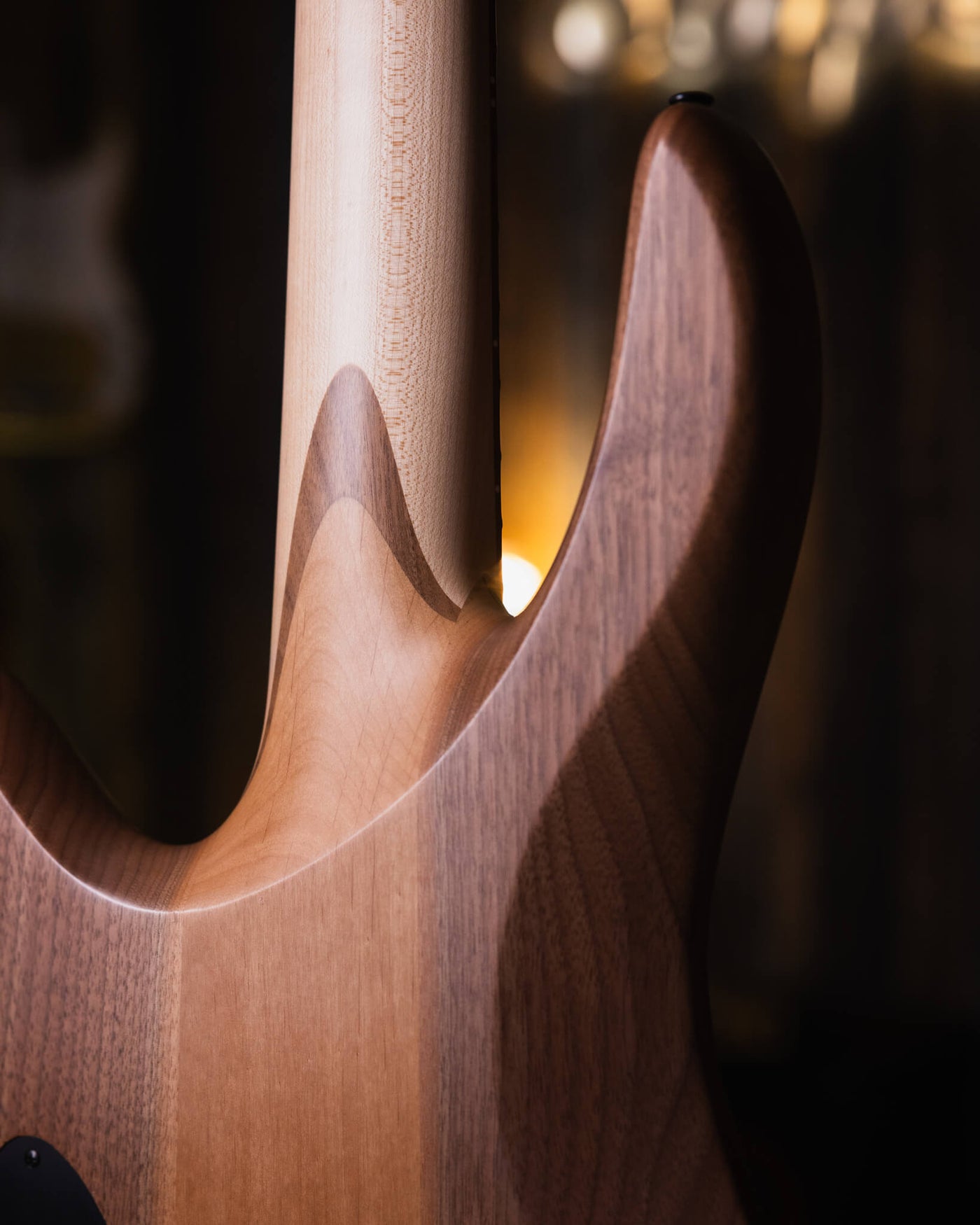 Fodera Monarch 5 Elite 38th Anniversary Zebrawood 2022  - Bajo Eléctrico