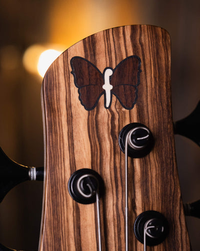 Fodera Monarch 5 Elite 38th Anniversary Zebrawood 2022  - Bajo Eléctrico