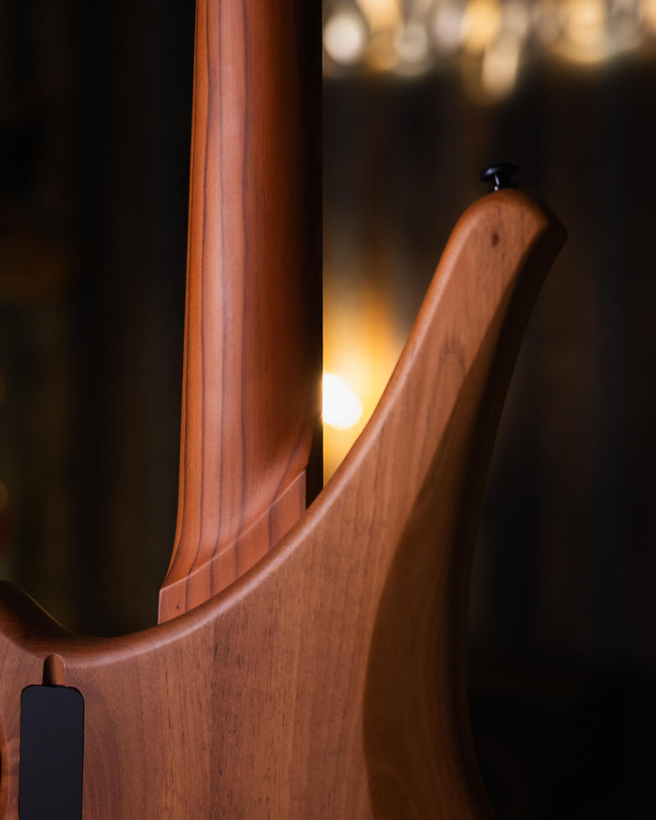 S. Martyn Blaze 5 Guajuvira NAMM Show 2025 - Bajo Eléctrico | Cuerpo • Modelo: Blaze• Madera: Cedro• Terminación: Matte Brazo • Madera: Peroba Rosa • Perfil: "C"• Terminación: Matte• Espaciado: 16,5 mm• Escala: 30"• Nuez: Graphtech Black TUSQ Diapasón • M