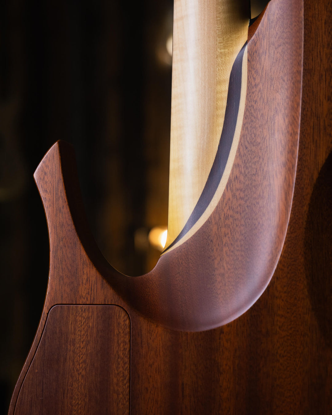 Swan Omicron 5 Macassar Ebony