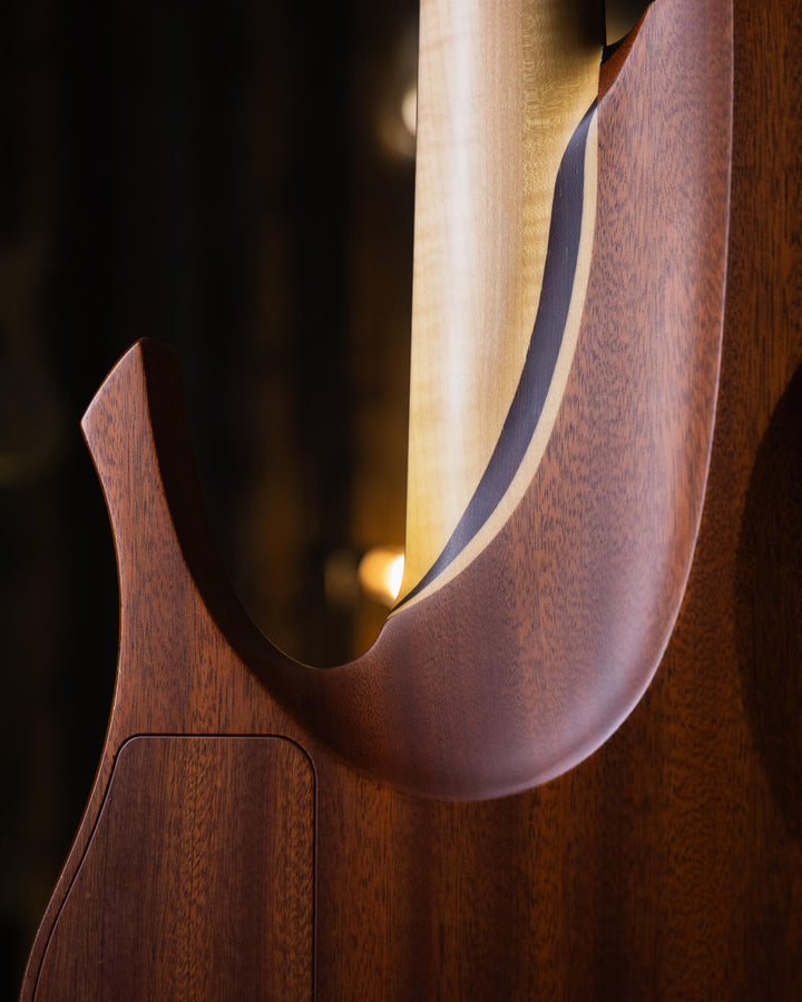 Swan Omicron 5 Macassar Ebony