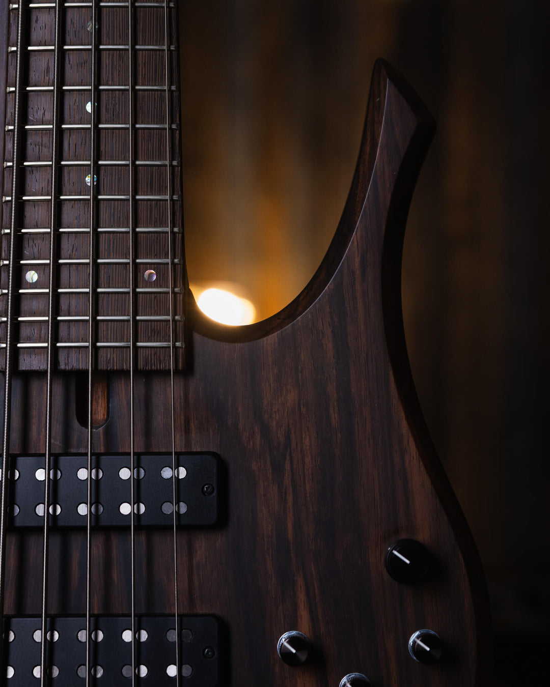 Swan Omicron 5 Macassar Ebony