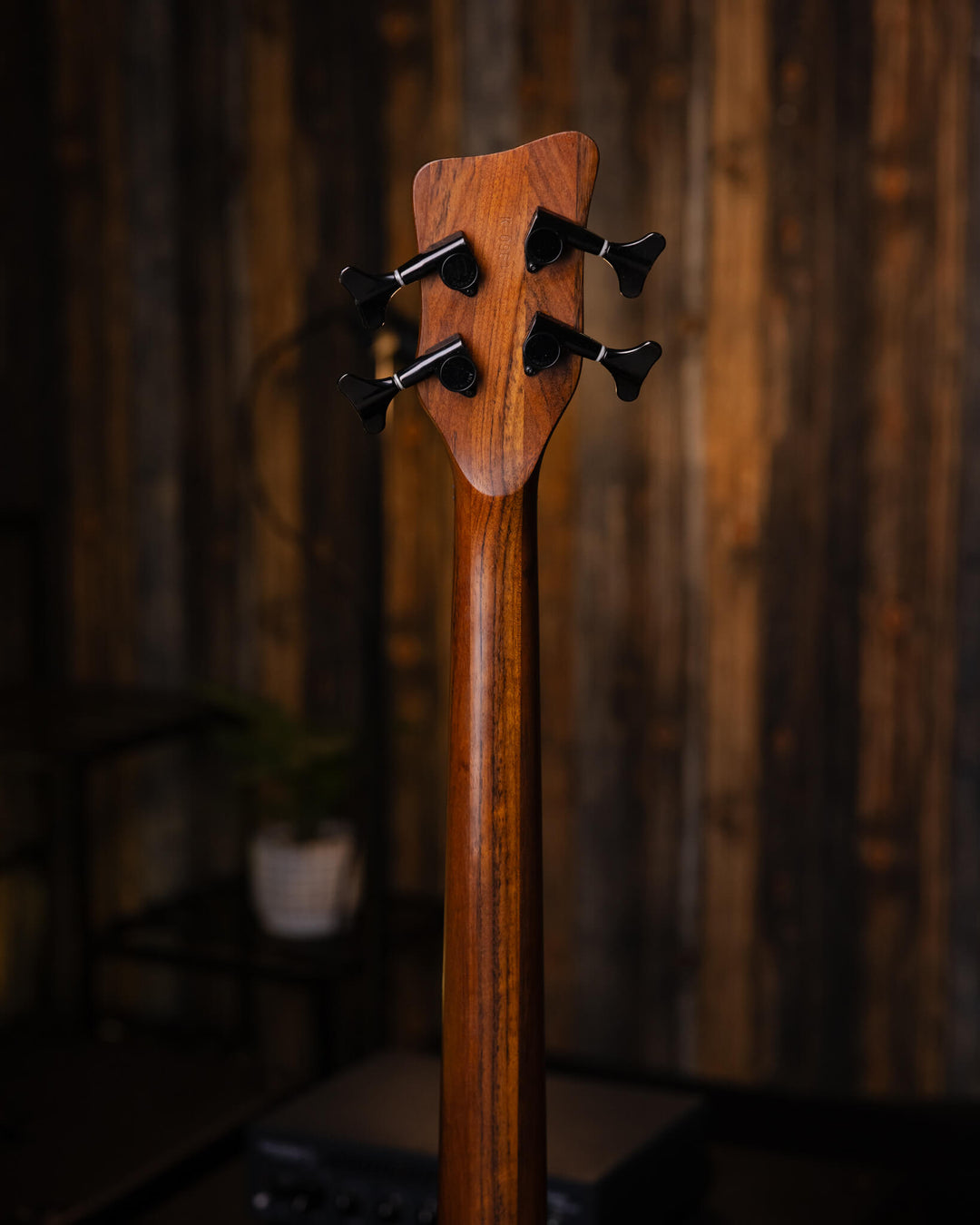 Warwick Infinity SN TCS 4 Zebrano 2002