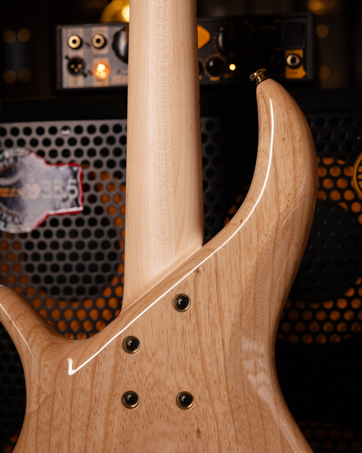 F Bass BN5 Chestnut 2026