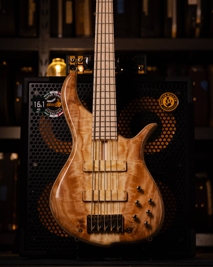 F Bass BN5 Chestnut 2026