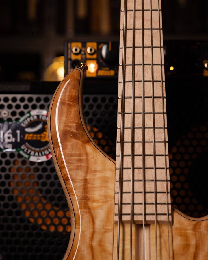 F Bass BN5 Chestnut 2026