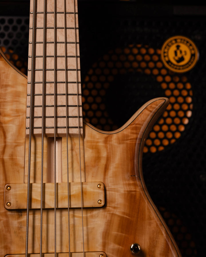 F Bass BN5 Chestnut 2026