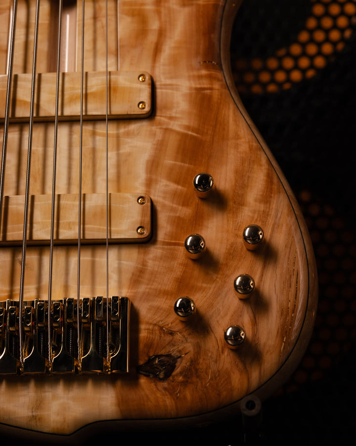 F Bass BN5 Chestnut 2026