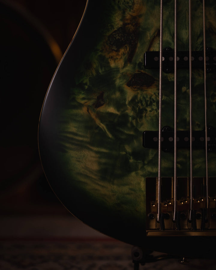 Sire V10-5 Transparent Green Satin Poplar Burl (2nd Gen) - Bajo Eléctrico
