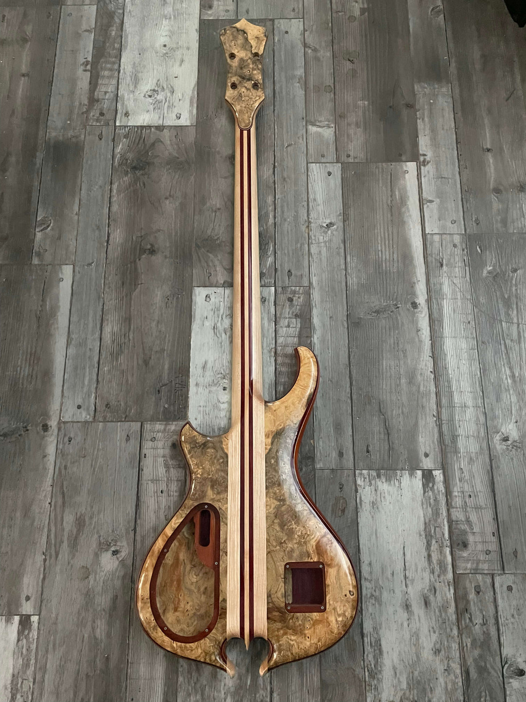 Alembic Signature Deluxe 4 Buckeye Burl