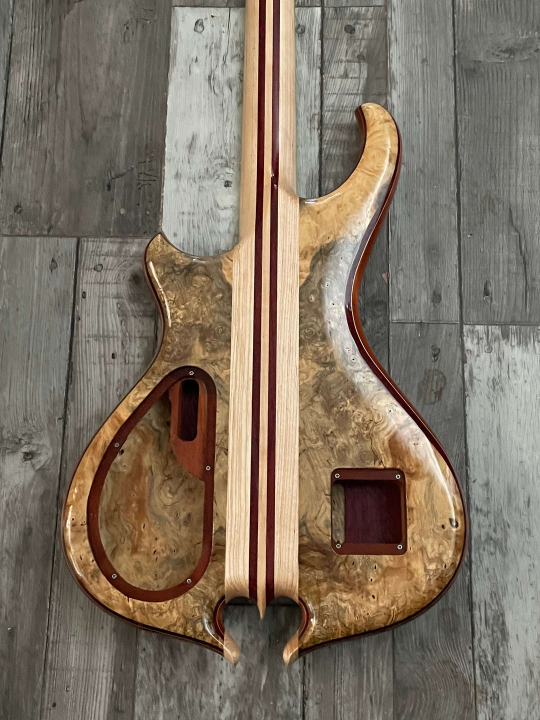 Alembic Signature Deluxe 4 Buckeye Burl