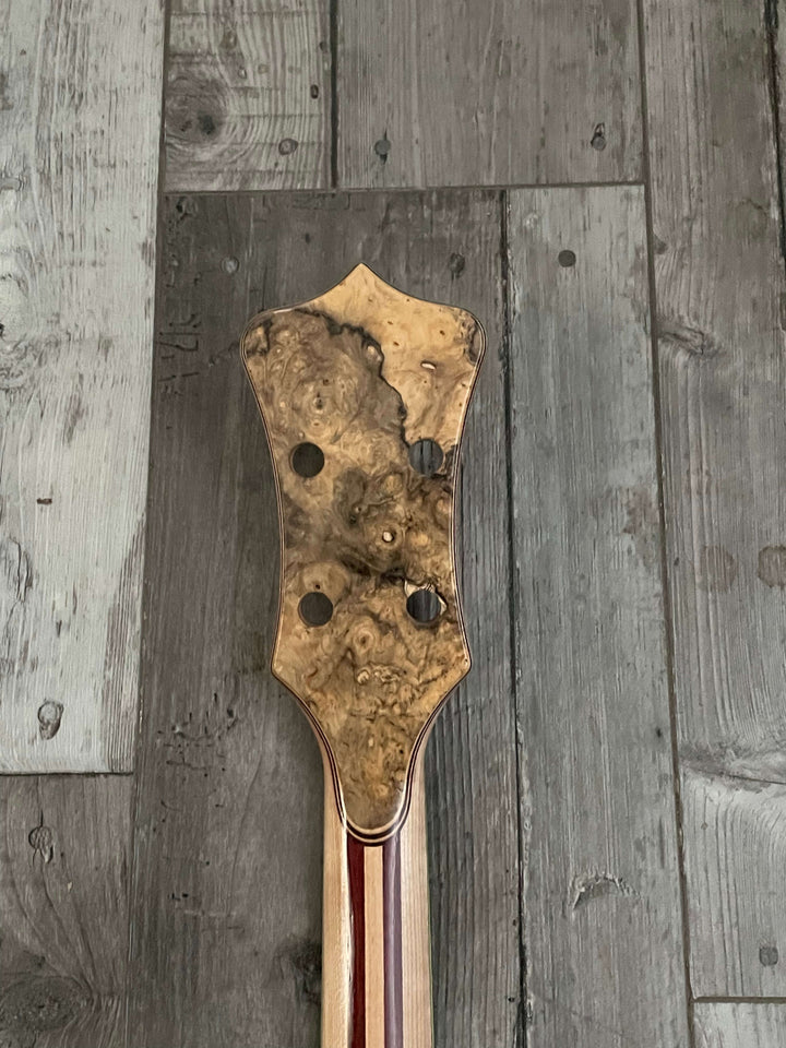 Alembic Signature Deluxe 4 Buckeye Burl
